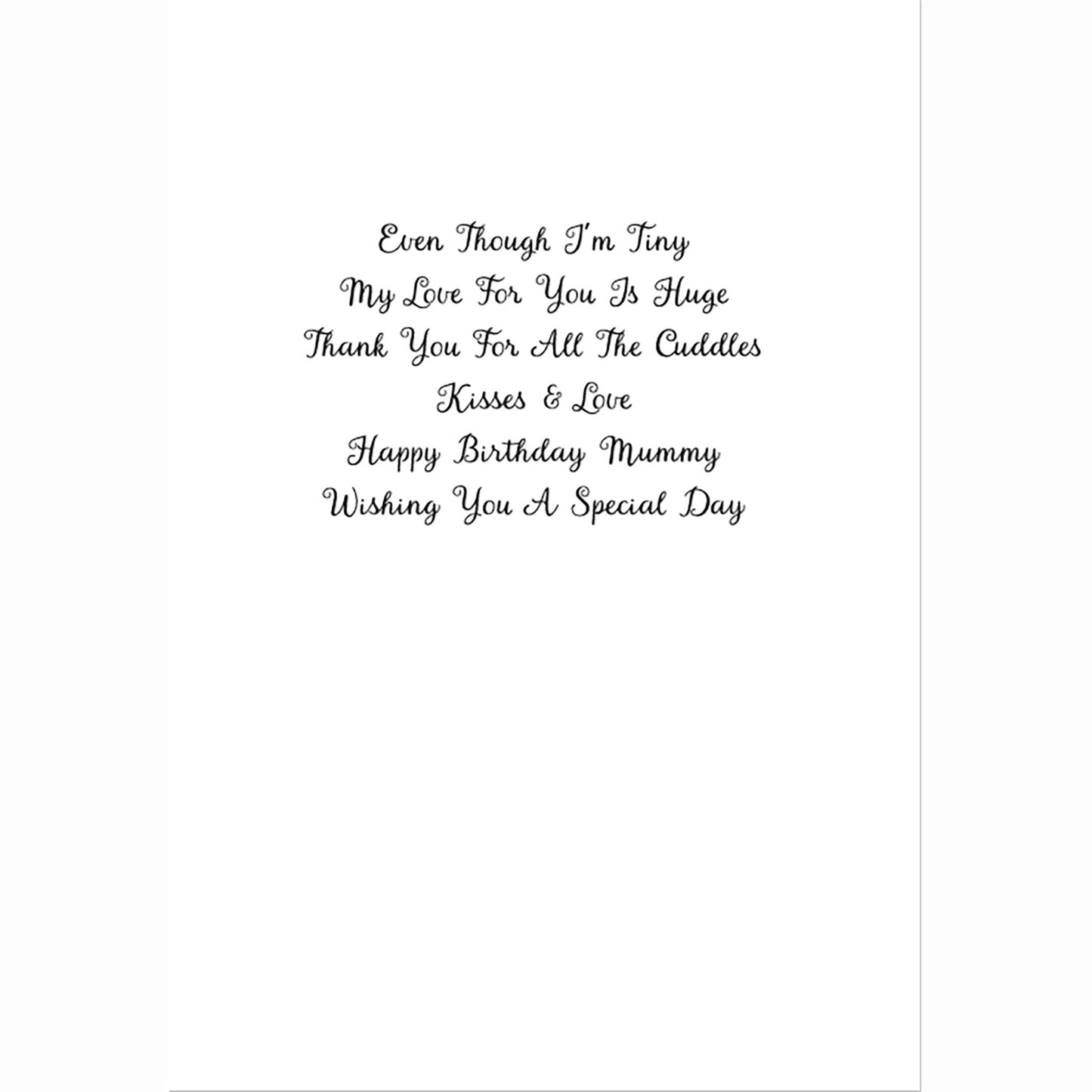 Mother Holding Her New Born Baby